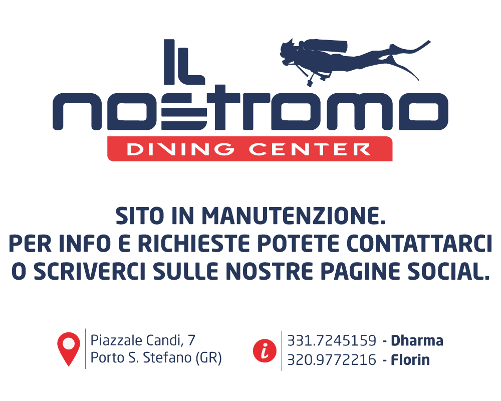 sito in manutenzione